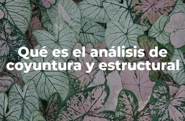 Combinando perspectivas para comprender realidades complejas