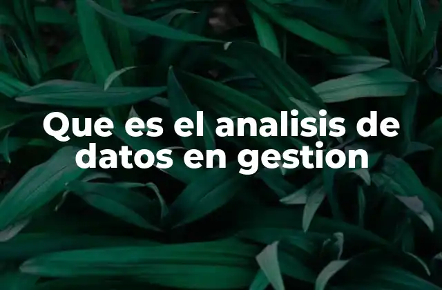 Que es el Analisis de Datos en Gestion
