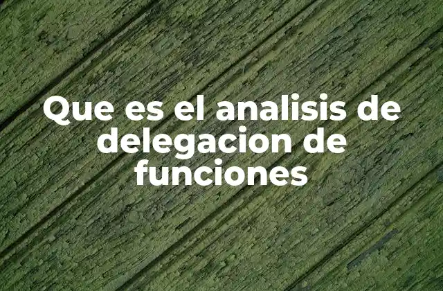 Que es el Analisis de Delegacion de Funciones