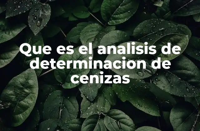 Que es el Analisis de Determinacion de Cenizas 2 El rol del análisis de cenizas en la ciencia moderna