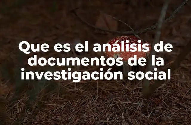 Que es el Análisis de Documentos de la Investigación Social