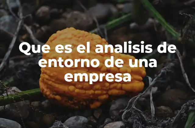Que es el Analisis de Entorno de una Empresa