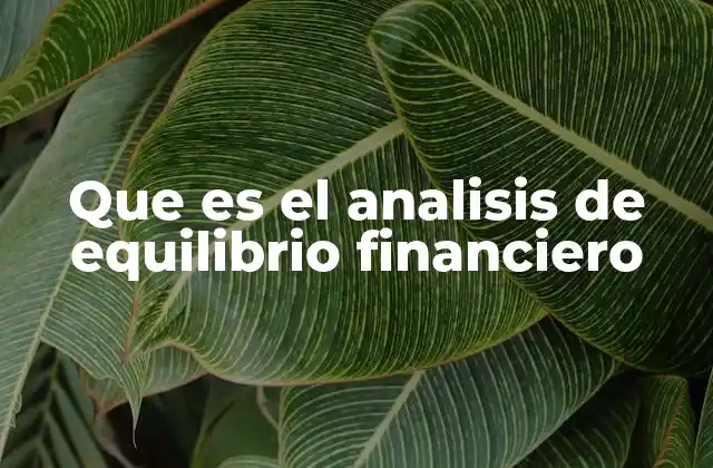 Que es el Analisis de Equilibrio Financiero