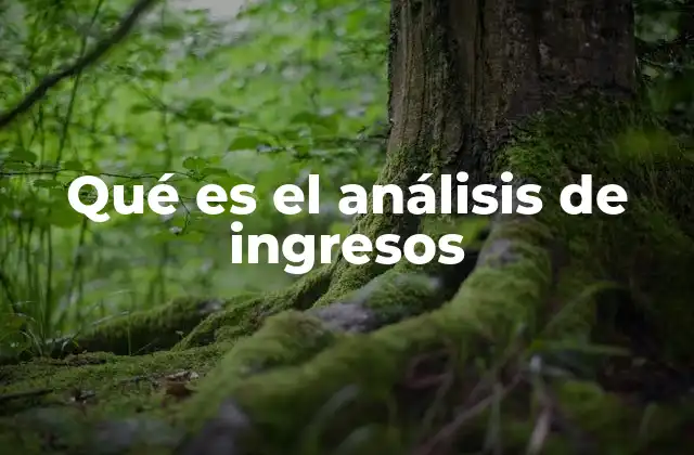 Qué es el Análisis de Ingresos