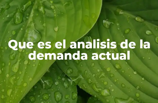 Que es el Analisis de la Demanda Actual