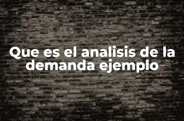 Que es el Analisis de la Demanda Ejemplo