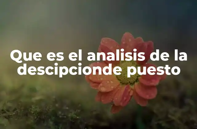 Que es el Analisis de la Descipcionde Puesto