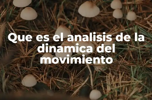 Que es el Analisis de la Dinamica Del Movimiento