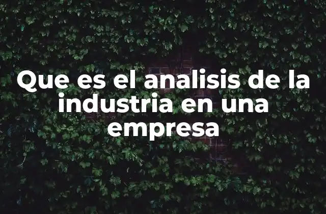 Que es el Analisis de la Industria en una Empresa