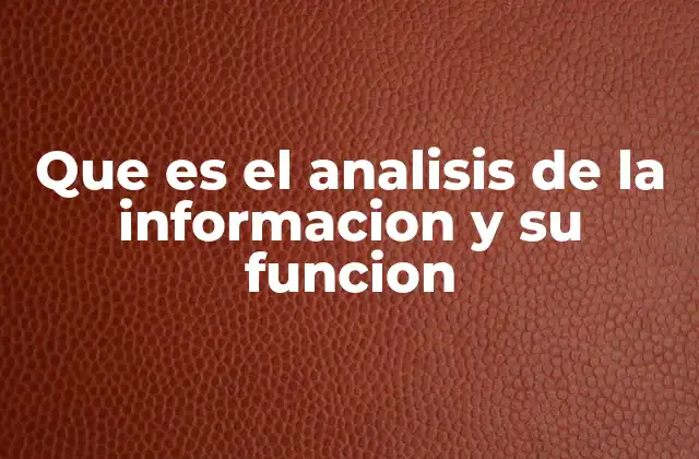 Que es el Analisis de la Informacion y Su Funcion