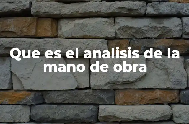 Que es el Analisis de la Mano de Obra