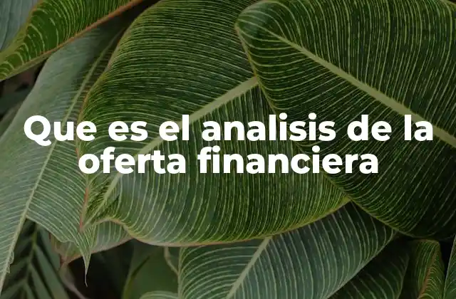 Que es el Analisis de la Oferta Financiera