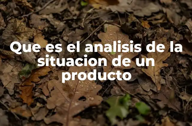 Que es el Analisis de la Situacion de un Producto