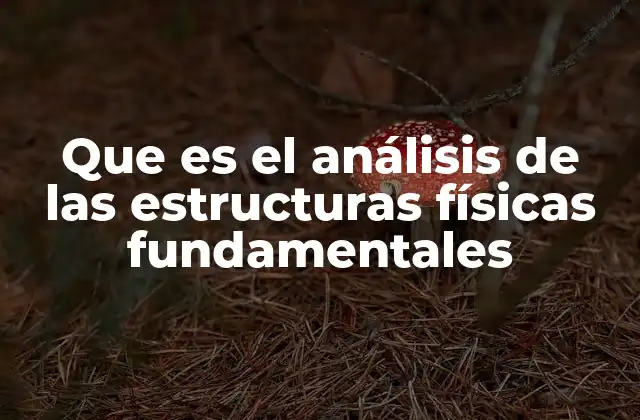 Que es el Análisis de las Estructuras Físicas Fundamentales