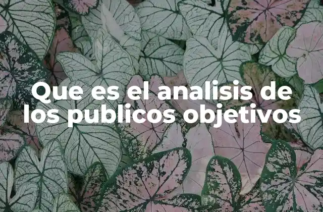 Que es el Analisis de los Publicos Objetivos