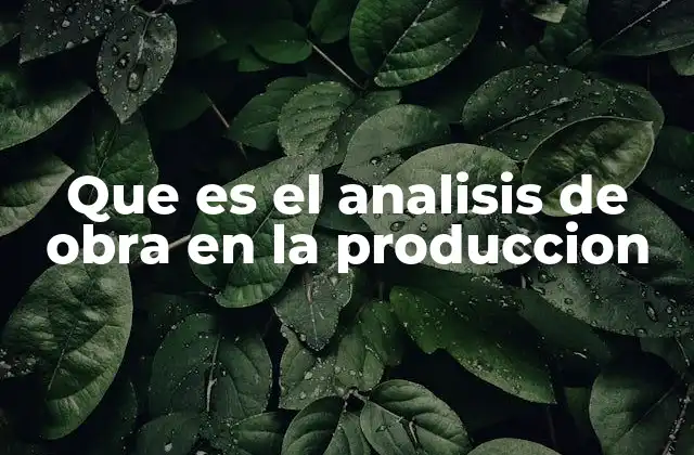 Que es el Analisis de Obra en la Produccion