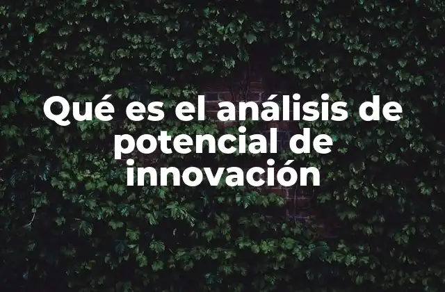 Qué es el Análisis de Potencial de Innovación 2 Cómo evaluar la capacidad de un sistema para generar innovación
