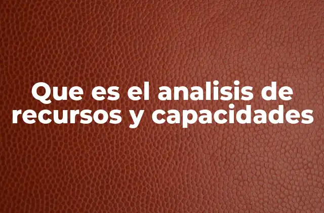Que es el Analisis de Recursos y Capacidades 2 La importancia de evaluar internamente los activos de una empresa