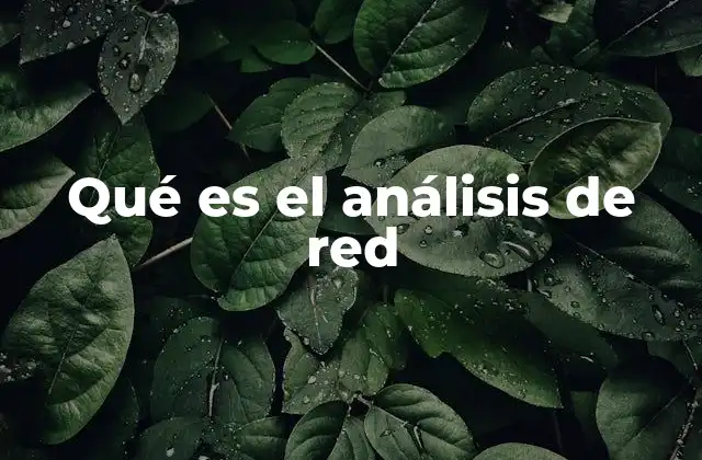 Qué es el Análisis de Red