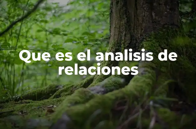 Que es el Analisis de Relaciones