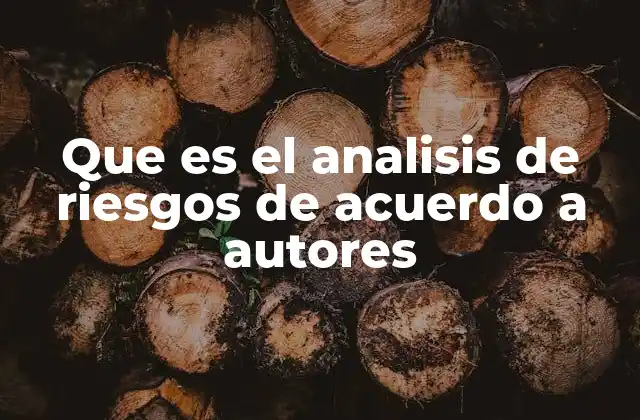 Que es el Analisis de Riesgos de Acuerdo a Autores