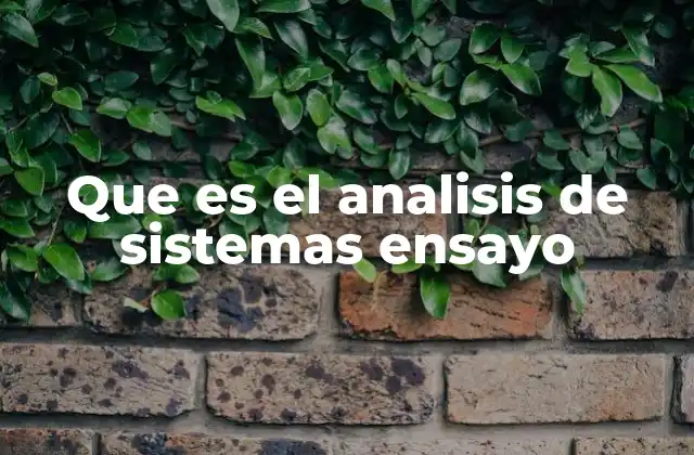 Que es el Analisis de Sistemas Ensayo