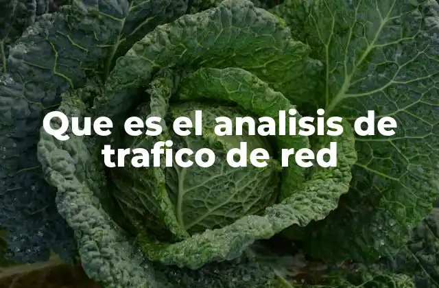 Que es el Analisis de Trafico de Red