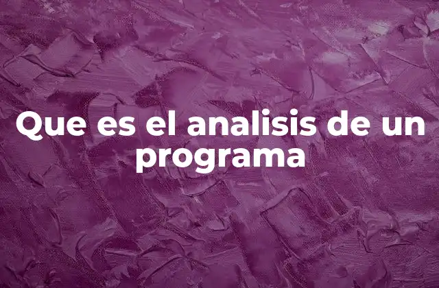 Que es el Analisis de un Programa
