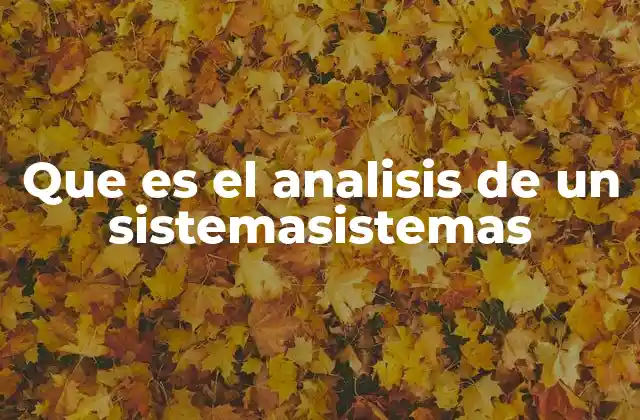 Que es el Analisis de un Sistemasistemas
