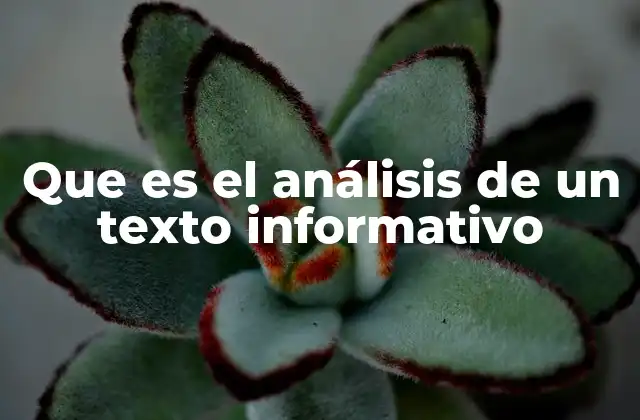 Que es el Análisis de un Texto Informativo
