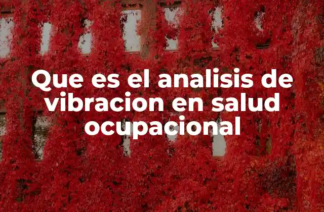 Que es el Analisis de Vibracion en Salud Ocupacional
