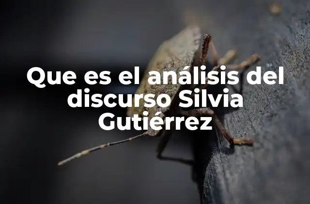 El enfoque crítico del discurso en la teoría de Silvia Gutiérrez