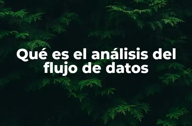 Qué es el Análisis Del Flujo de Datos