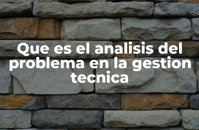 Que es el Analisis Del Problema en la Gestion Tecnica