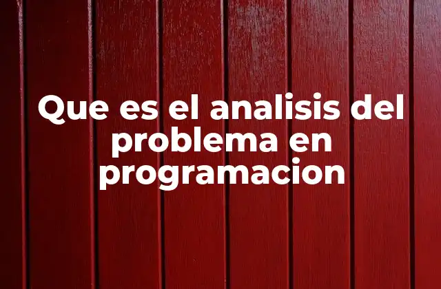 Que es el Analisis Del Problema en Programacion