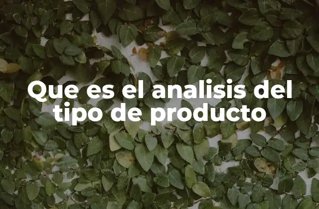 Que es el Analisis Del Tipo de Producto