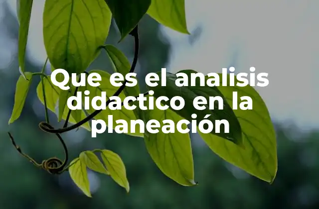 La importancia del análisis didáctico en la planificación educativa