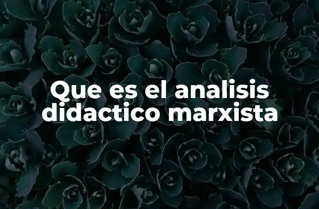 Que es el Analisis Didactico Marxista