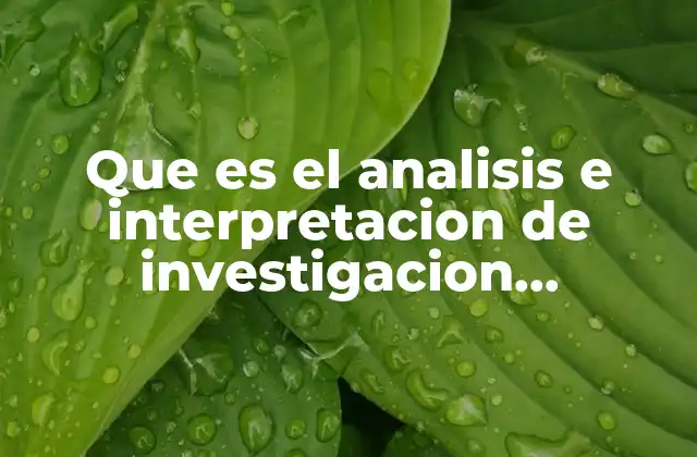 Que es el Analisis e Interpretacion de Investigacion Demercado
