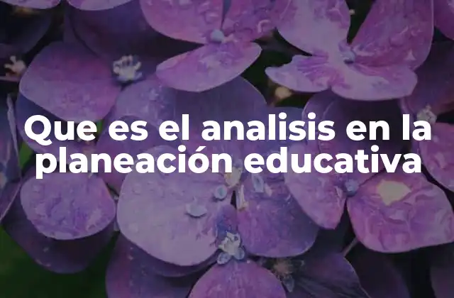 Que es el Analisis en la Planeación Educativa