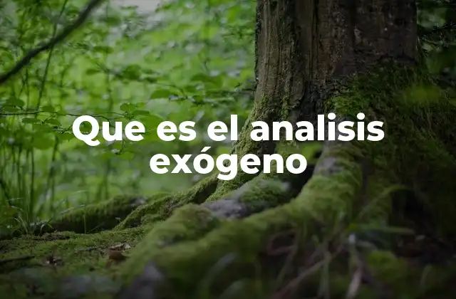 Que es el Analisis Exógeno