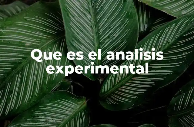 El rol del análisis experimental en la toma de decisiones