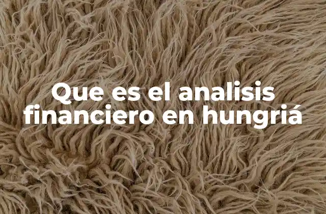 La importancia del análisis financiero en el contexto económico húngaro