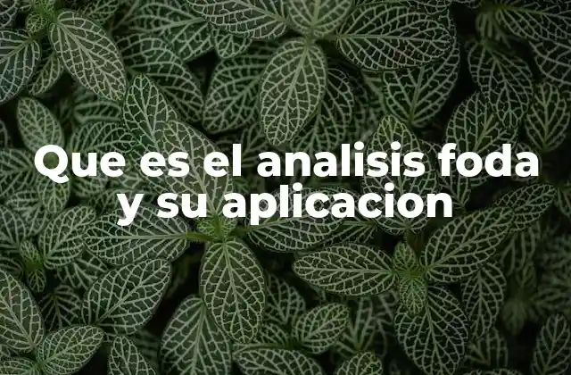 Que es el Analisis Foda y Su Aplicacion