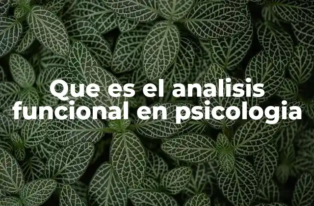 Que es el Analisis Funcional en Psicologia