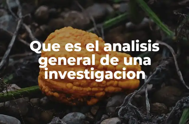 Que es el Analisis General de una Investigacion