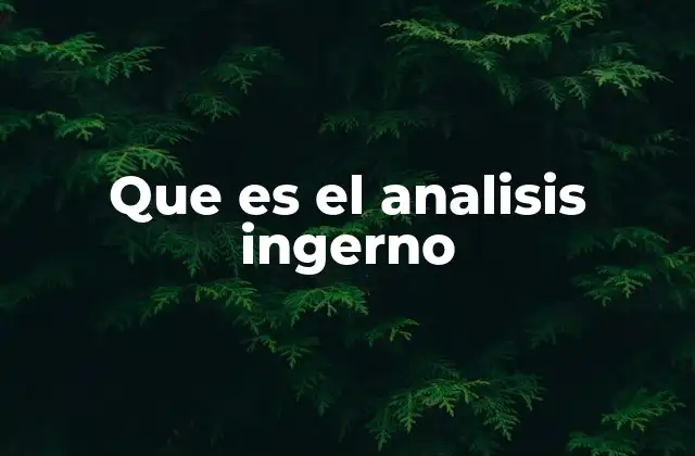 Que es el Analisis Ingerno