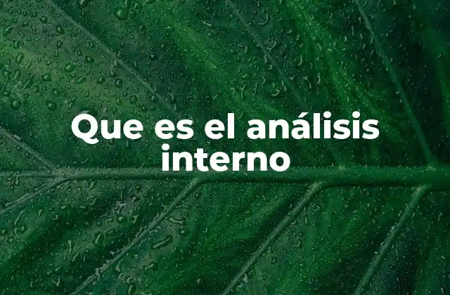 Que es el Análisis Interno