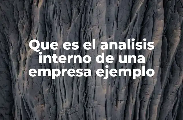 Que es el Analisis Interno de una Empresa Ejemplo