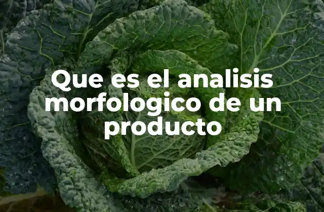 Entendiendo la estructura de los productos